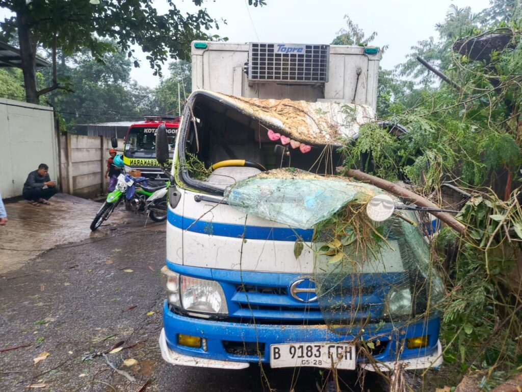 Pohon Pete Cina Tumbang Timpa Truk di Bogor