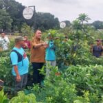 Cegah Jual-Beli Lapak, Pemkab Bogor Terapkan Iuran Rp100 Ribu per Tahun di Pasar Petani Garuda