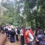 Bunga Bangkai Raksasa Mekar di Kebun Raya Bogor, Warga Antusias Antre Sejak Pagi