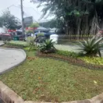 Bekas Pohon Karet Kebo Disulap Jadi Taman, Wajah Baru Ruang Hijau di Balai Kota Bogor