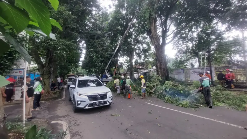 Dishub Kota Bogor Imbau Pengendara Hindari Jalan Lawanggintung, Penebangan Pohon Picu Potensi Macet