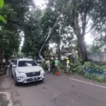 Dishub Kota Bogor Imbau Pengendara Hindari Jalan Lawanggintung, Penebangan Pohon Picu Potensi Macet