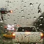 Puncak Musim Hujan Datang, BMKG Catat Hujan Guyur Bogor dari Pagi hingga Dini Hari