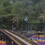 Dairyland Puncak Banjir Wisatawan, Promo Spesial 3 Wahana Bikin Ramai