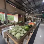 Eks PKL Pasar Bogor Siap Berjualan Malam Ini di Pasar Jambu Dua