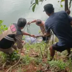 Mayat Pria Mengambang di Danau Binong Cileungsi Gegerkan Warga