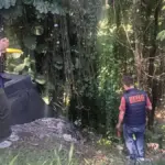 Perempuan di Bogor Diduga Lompat ke Jurang,Usai Bertengkar dengan Pria