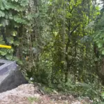 Jejak Tak Ditemukan, Pencarian Perempuan di Jurang Paledang Dihentikan