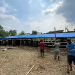 Ribuan Hewan Kurban di Kabupaten Bogor Dipastikan Sehat