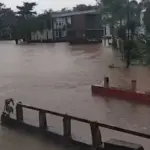 Kali Cinyompok Meluap, Banjir Rendam Rumah Warga di Tenjo