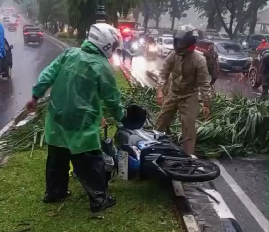 Pemotor Tewas Tertimpa Pohon Palem di Jalan Tegar Beriman