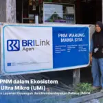 BRILink Agen