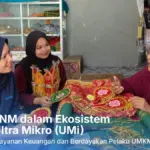 UMi