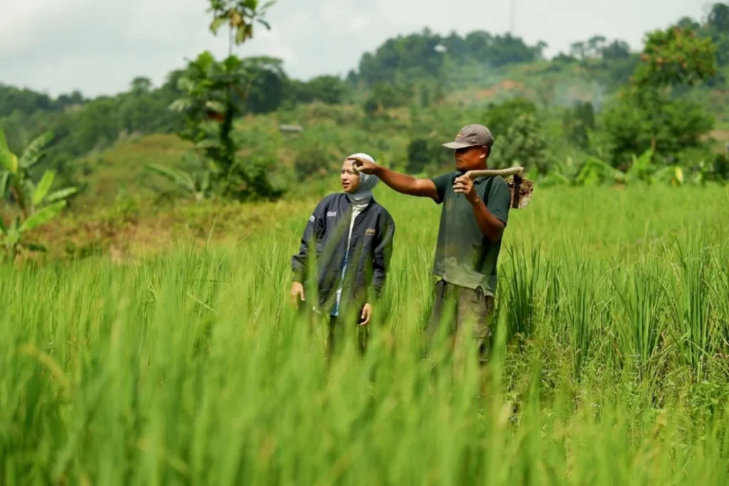 BRI Salurkan KUR Rp144 Triliun kepada 2,76 Juta Debitur, Jadi Motor Penggerak Sektor Produktif dan UMKM