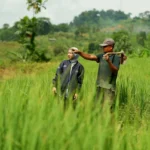 BRI Salurkan KUR Rp144 Triliun kepada 2,76 Juta Debitur, Jadi Motor Penggerak Sektor Produktif dan UMKM