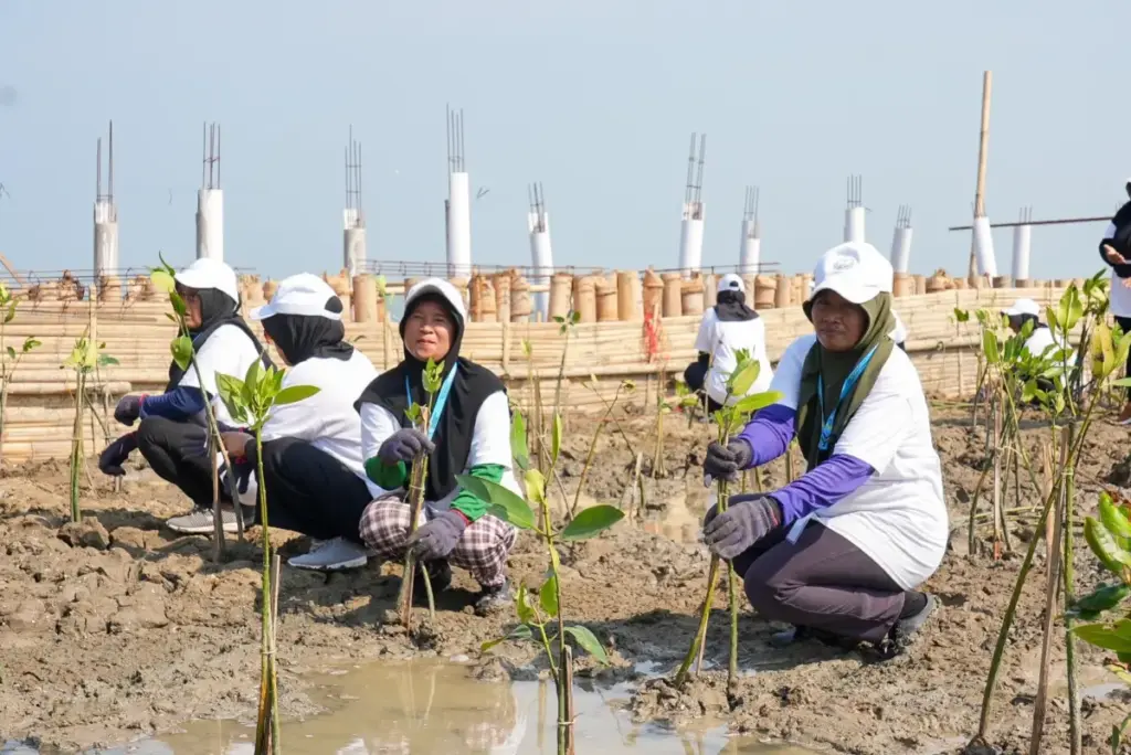Lindungi Pantai Utara dari Abrasi, BRI Tanam 30 Ribu Bibit Mangrove dan Manfaatkan Sampah Jadi Pemecah Ombak